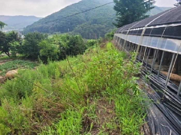 충남 청양군 비봉면 대지,임야,전답 경매 물건 사진