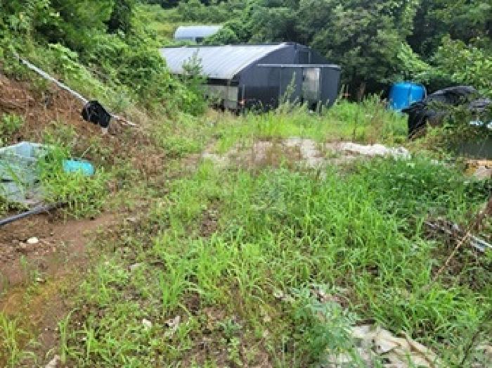 충남 청양군 비봉면 대지,임야,전답 경매 물건 사진 3 · 2025타경80