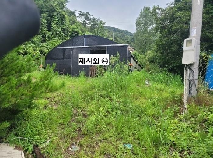 충남 청양군 비봉면 대지,임야,전답 경매 물건 사진 4 · 2025타경80