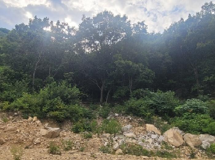 충남 공주시 반포면 임야 경매 물건 사진 3 · 2025타경82