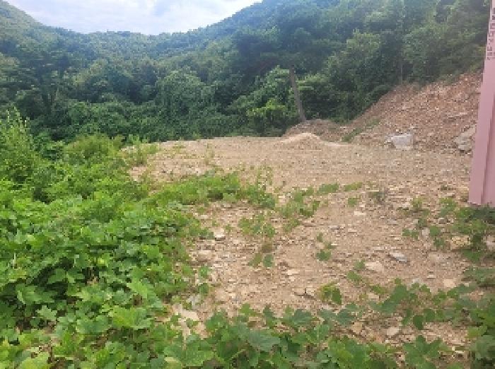 충남 공주시 반포면 임야 경매 물건 사진 5 · 2025타경82