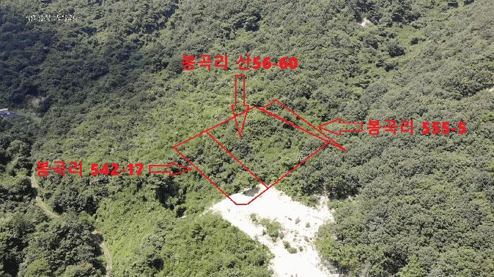 충남 공주시 반포면 임야 경매 물건 사진