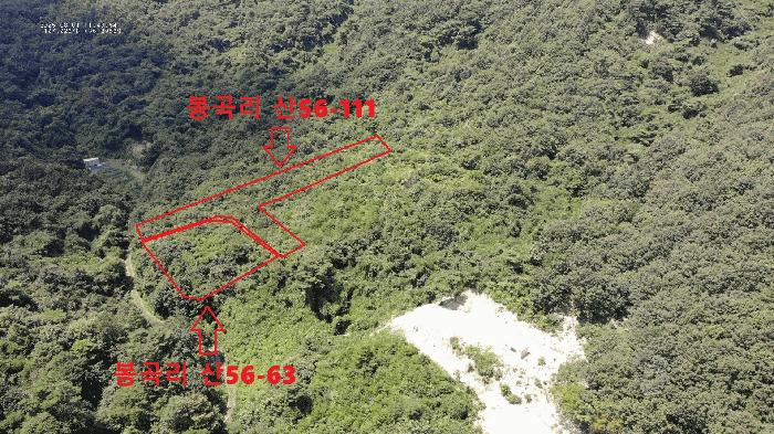 충남 공주시 반포면 임야 경매 물건 사진 6 · 2025타경82