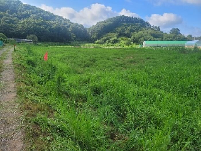 충남 공주시 탄천면 대지,임야,전답 경매 물건 사진