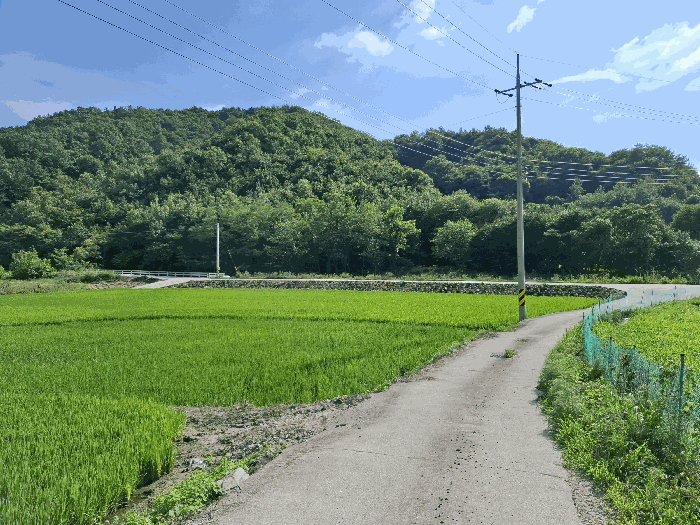 충남 공주시 오곡동 전답 경매 물건 사진 5 · 2025타경87