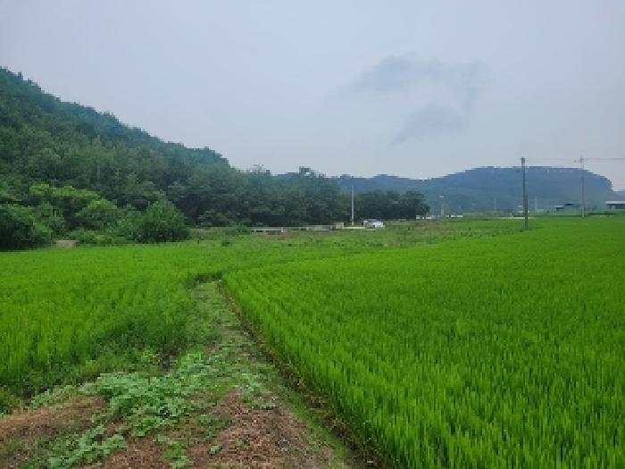 충남 공주시 오곡동 전답 경매 물건 사진