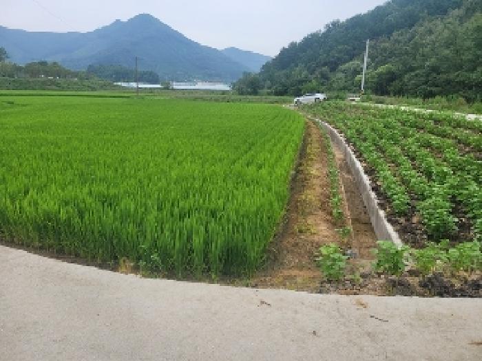 충남 공주시 오곡동 전답 경매 물건 사진 3 · 2025타경87