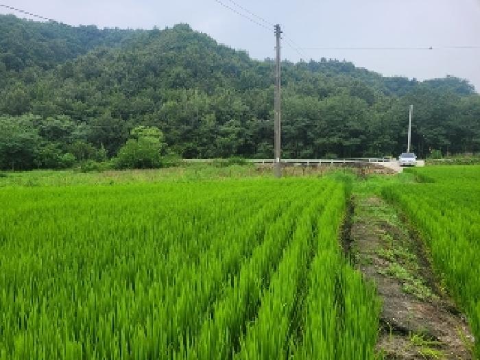충남 공주시 오곡동 전답 경매 물건 사진 4 · 2025타경87