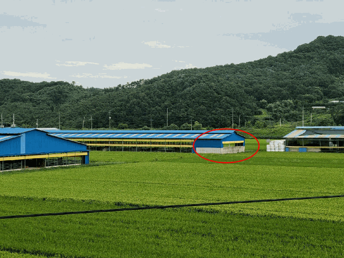 충청남도 청양군 장평면 구룡리 59-11 동물및식물관련시설 경매 물건 사진