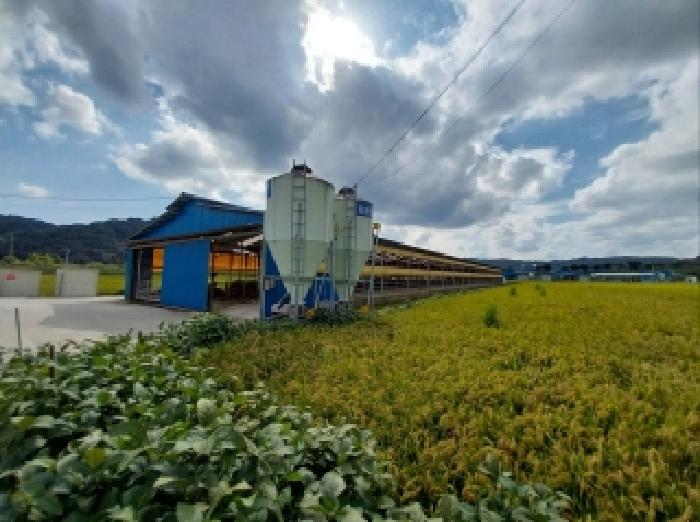 충남 청양군 장평면 동물및식물관련시설 경매 물건 사진