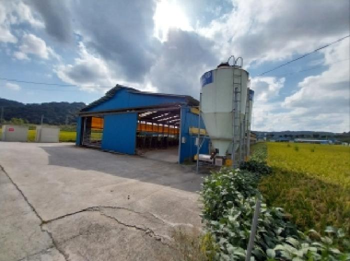 충남 청양군 장평면 동물및식물관련시설 경매 물건 사진 2 · 2025타경89