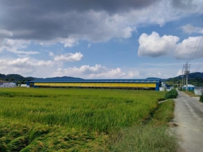 충남 청양군 장평면 동물및식물관련시설 경매 물건 사진 5 · 2025타경89