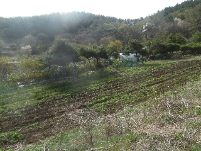 충남 서산시 성연면 전 경매 물건 사진 5 · 2023타경51586