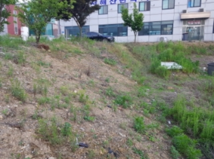 충남 당진시 송악읍 공장용지 경매 물건 사진 2 · 2023타경53681
