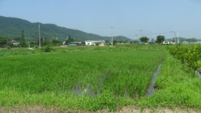 충남 서산시 인지면 전답 경매 물건 사진 2 · 2023타경55021