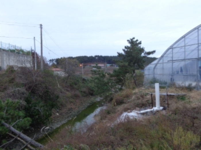 충남 태안군 남면 잡종지 경매 물건 사진 2 · 2023타경5828
