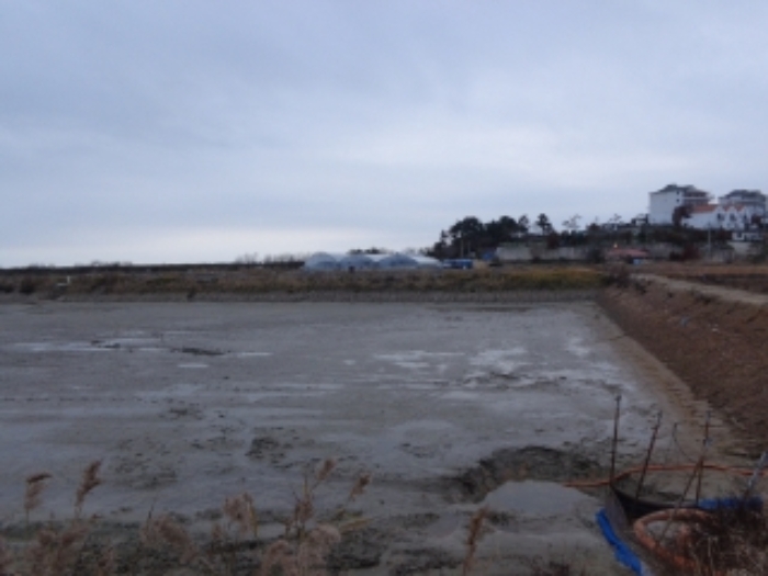 충남 태안군 남면 잡종지 경매 물건 사진 4 · 2023타경5828