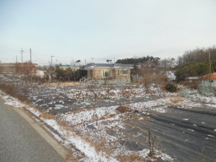 충남 당진시 석문면 대지 경매 물건 사진 4 · 2023타경6203