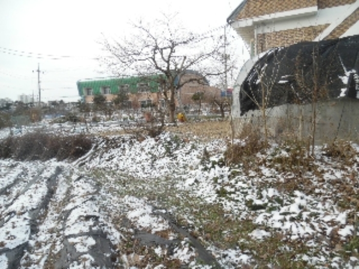 충남 당진시 석문면 대지 경매 물건 사진 6 · 2023타경6203