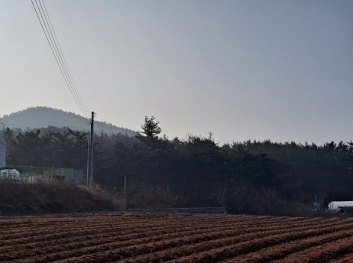 충남 서산시 대산읍 임야 경매 물건 사진