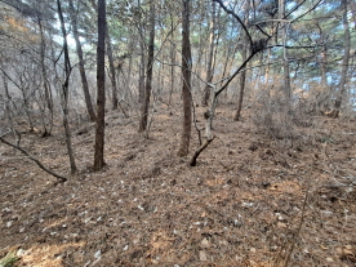 충남 서산시 대산읍 임야 경매 물건 사진 4 · 2023타경6494