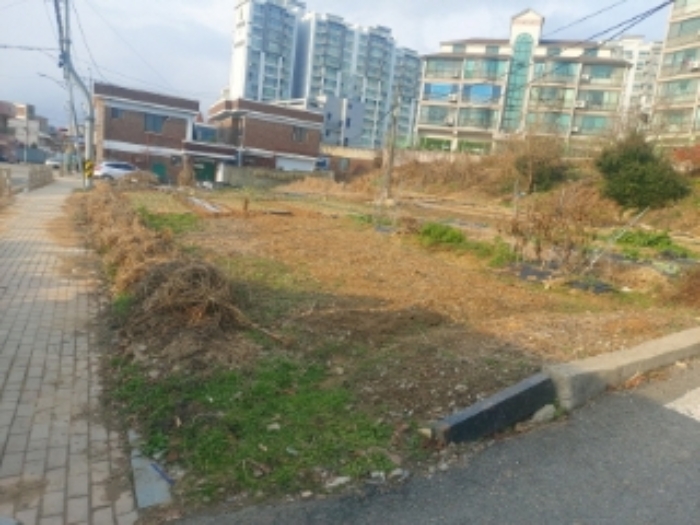 충남 당진시 읍내동 단독주택 경매 물건 사진 4 · 2024타경4372