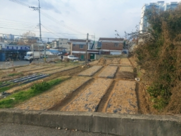 충남 당진시 읍내동 단독주택 경매 물건 사진 6 · 2024타경4372