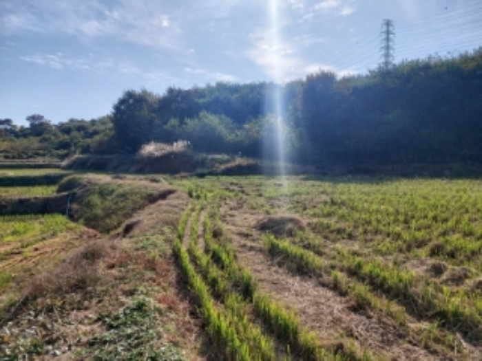 충남 당진시 송악읍 임야 경매 물건 사진 2 · 2024타경4525