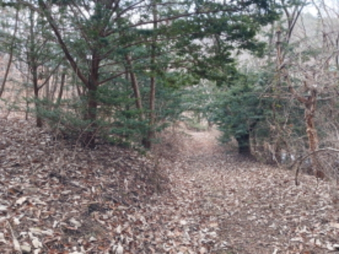충남 당진시 고대면 임야 경매 물건 사진 5 · 2024타경4907