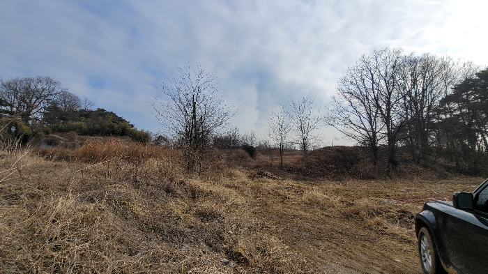충청남도 당진시 송악읍 부곡리 386 답 경매 물건 사진