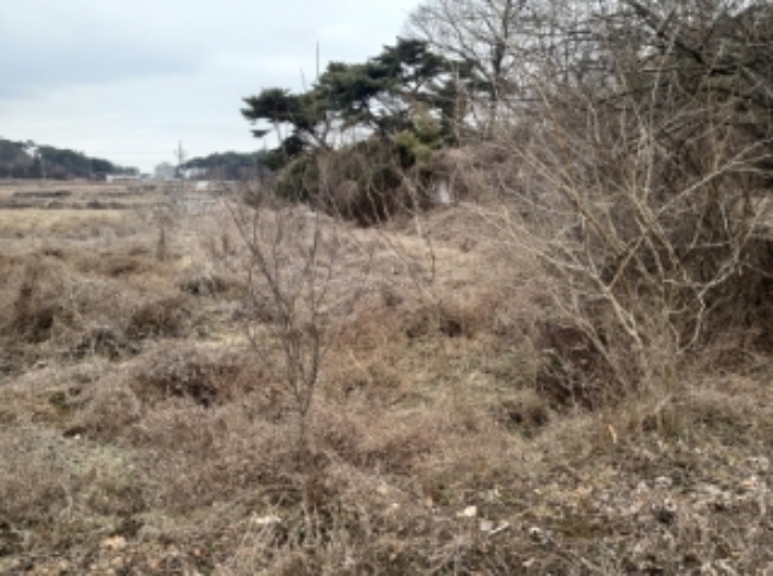 충남 당진시 송악읍 답 경매 물건 사진 5 · 2024타경50757