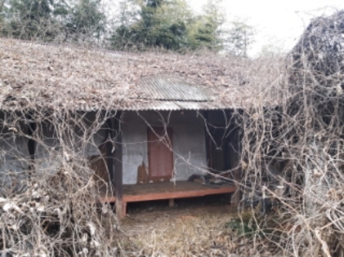충남 당진시 송악읍 답 경매 물건 사진 6 · 2024타경50757