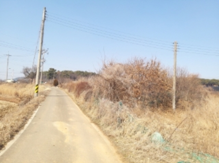 충남 당진시 송악읍 전 경매 물건 사진 2 · 2024타경50856
