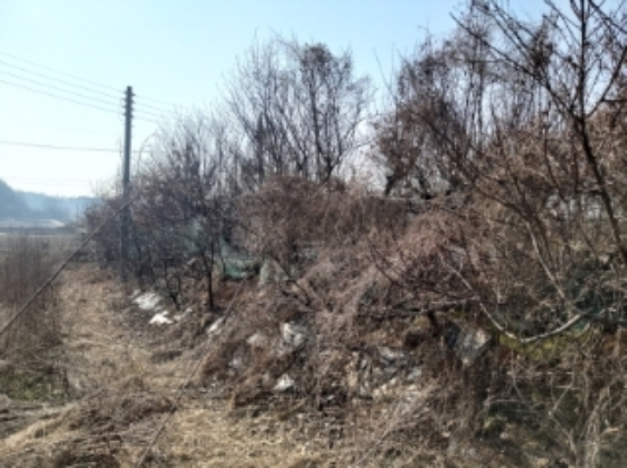 충남 당진시 송악읍 전 경매 물건 사진 3 · 2024타경50856