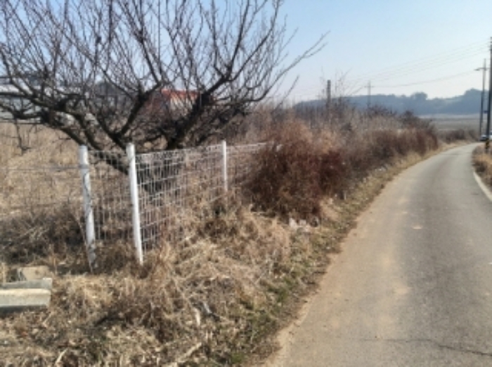 충남 당진시 송악읍 전 경매 물건 사진 5 · 2024타경50856