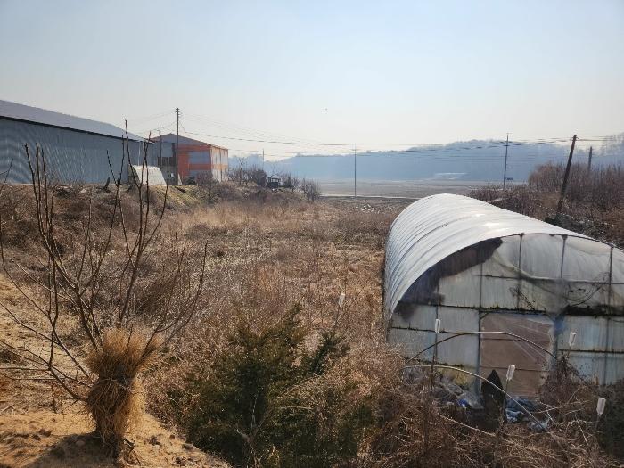 충남 당진시 송악읍 전 경매 물건 사진