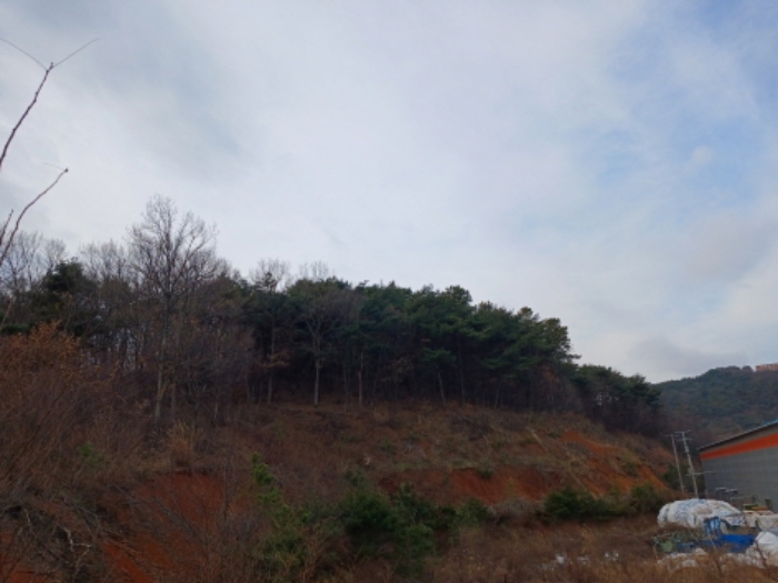 충남 당진시 고대면 공장/지식산업센터 경매 물건 사진 4 · 2024타경5238
