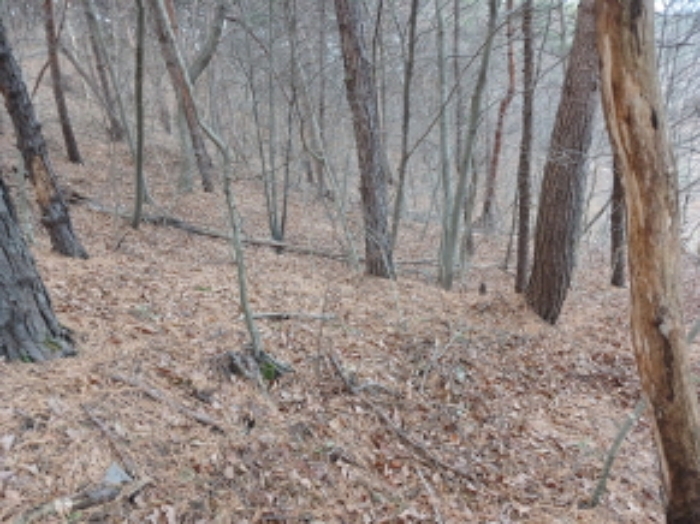 충남 당진시 고대면 공장/지식산업센터 경매 물건 사진 5 · 2024타경5238
