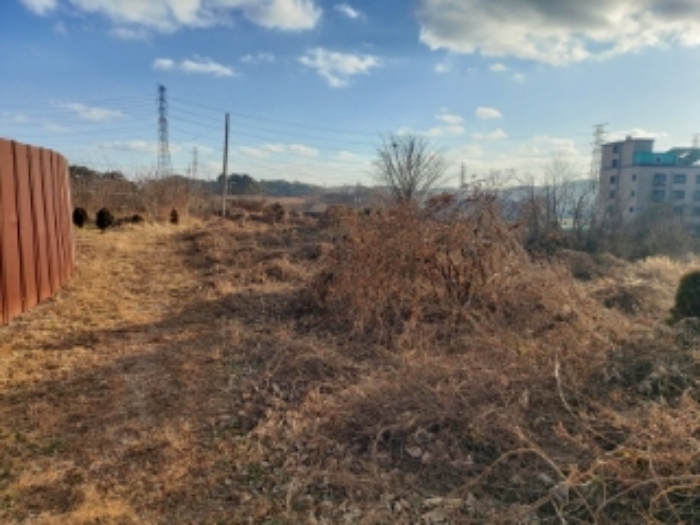 충남 당진시 송악읍 대지 경매 물건 사진 3 · 2024타경5252