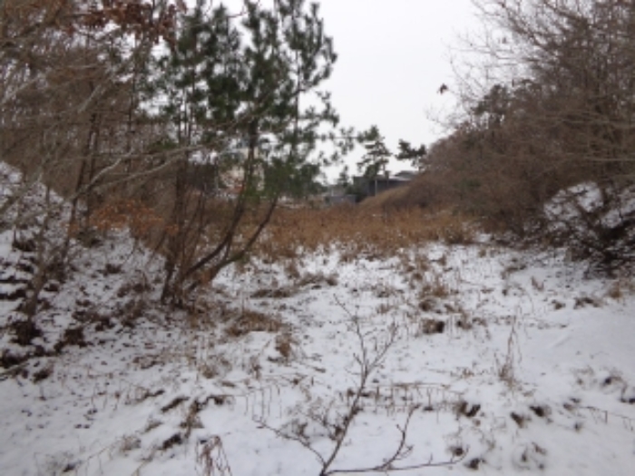 충남 태안군 남면 대지,임야,전답 경매 물건 사진 6 · 2024타경5320