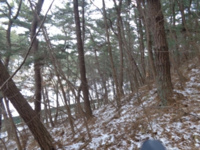 충남 태안군 남면 대지,임야,전답 경매 물건 사진 3 · 2024타경5320