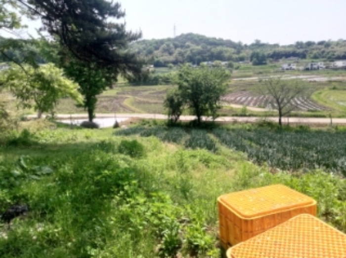 충남 당진시 송악읍 과수원 경매 물건 사진