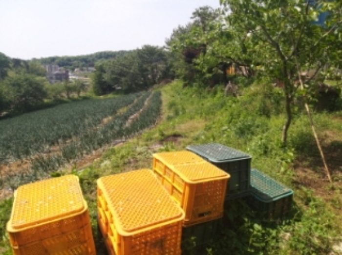 충남 당진시 송악읍 과수원 경매 물건 사진 2 · 2024타경53718
