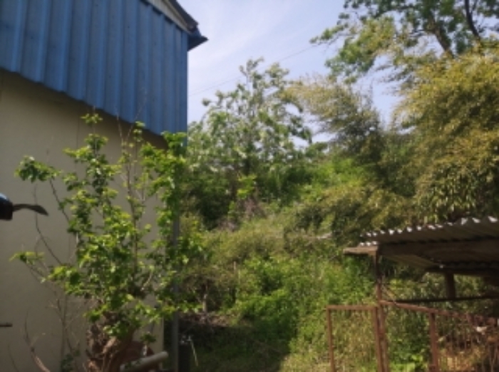 충남 당진시 송악읍 과수원 경매 물건 사진 5 · 2024타경53718