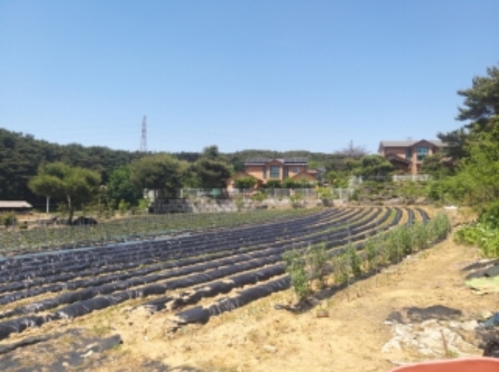 충남 당진시 순성면 대지 경매 물건 사진