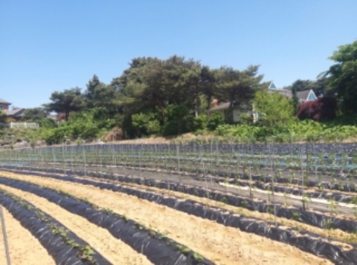 충남 당진시 순성면 대지 경매 물건 사진 4 · 2024타경53855