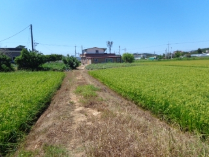 충남 태안군 안면읍 답 경매 물건 사진 3 · 2024타경54674