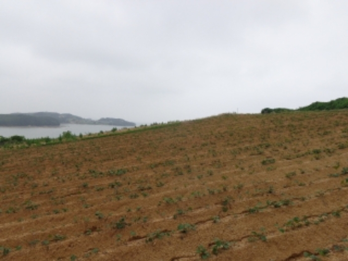 충남 태안군 고남면 전 경매 물건 사진 2 · 2024타경55721