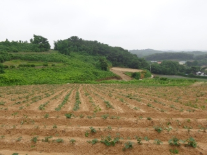 충남 태안군 고남면 전 경매 물건 사진 4 · 2024타경55721