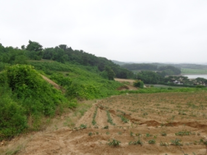 충남 태안군 고남면 전 경매 물건 사진 5 · 2024타경55721